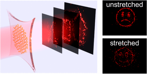 hologrammes changeant